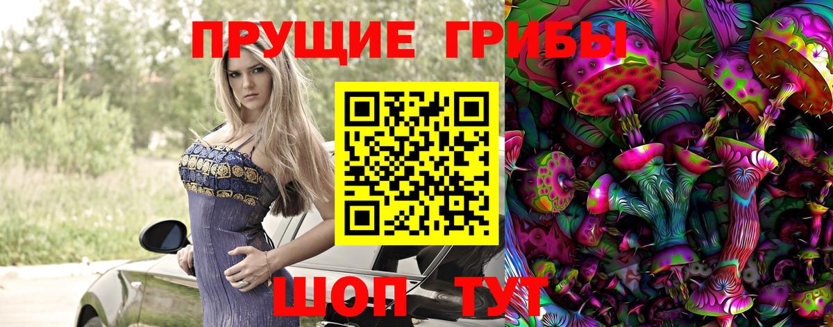 Псилоцибиновые грибы прущие грибы  Вход с VPN  Шелехов 